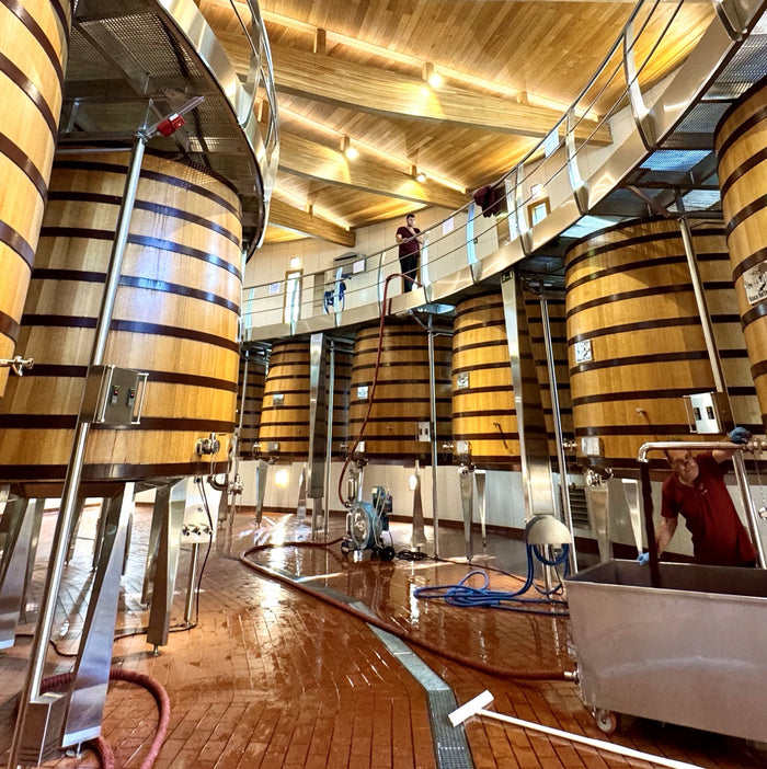 The Best Wine Is Always In the Making at Bodegas Vega Sicilia
