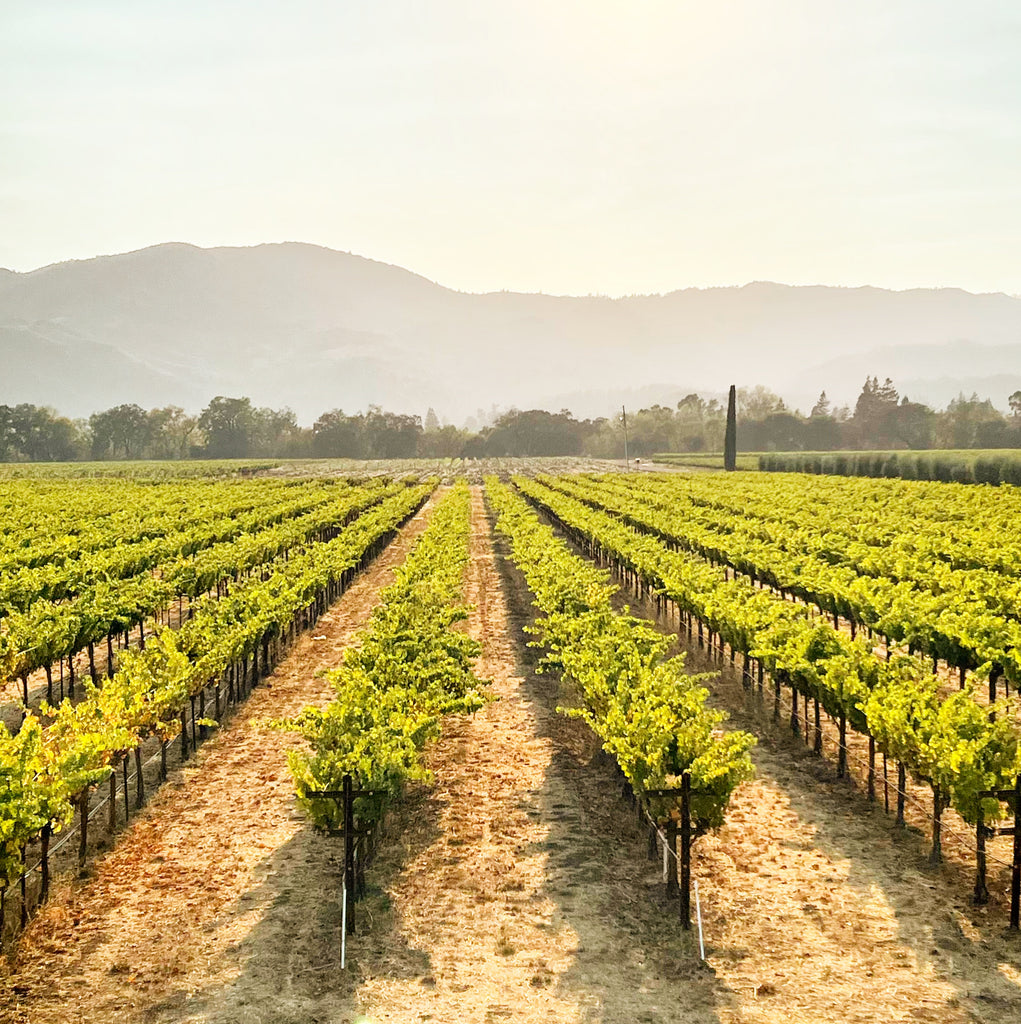 A Few Suggestions for Your Napa Valley Adventure