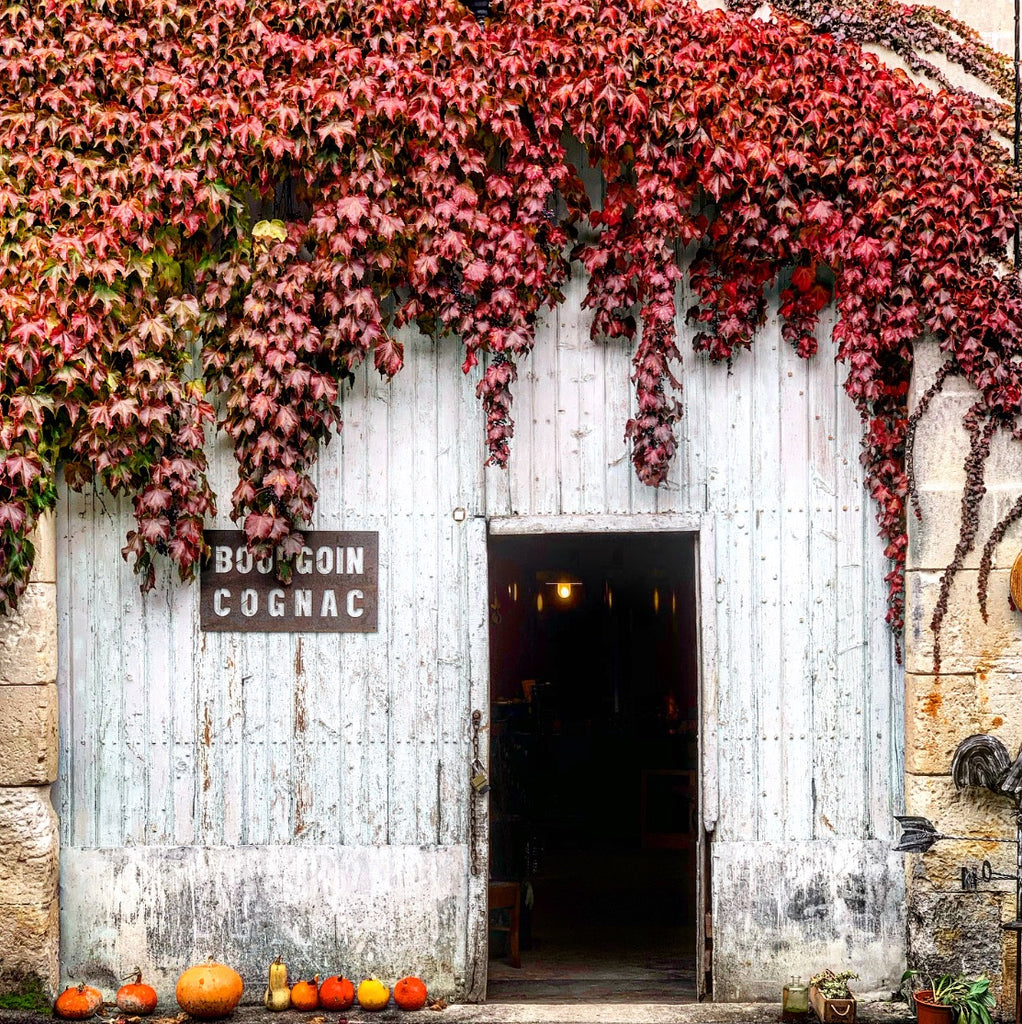 In a Region of Tradition, Bourgoin Cognac is Looking to Innovate