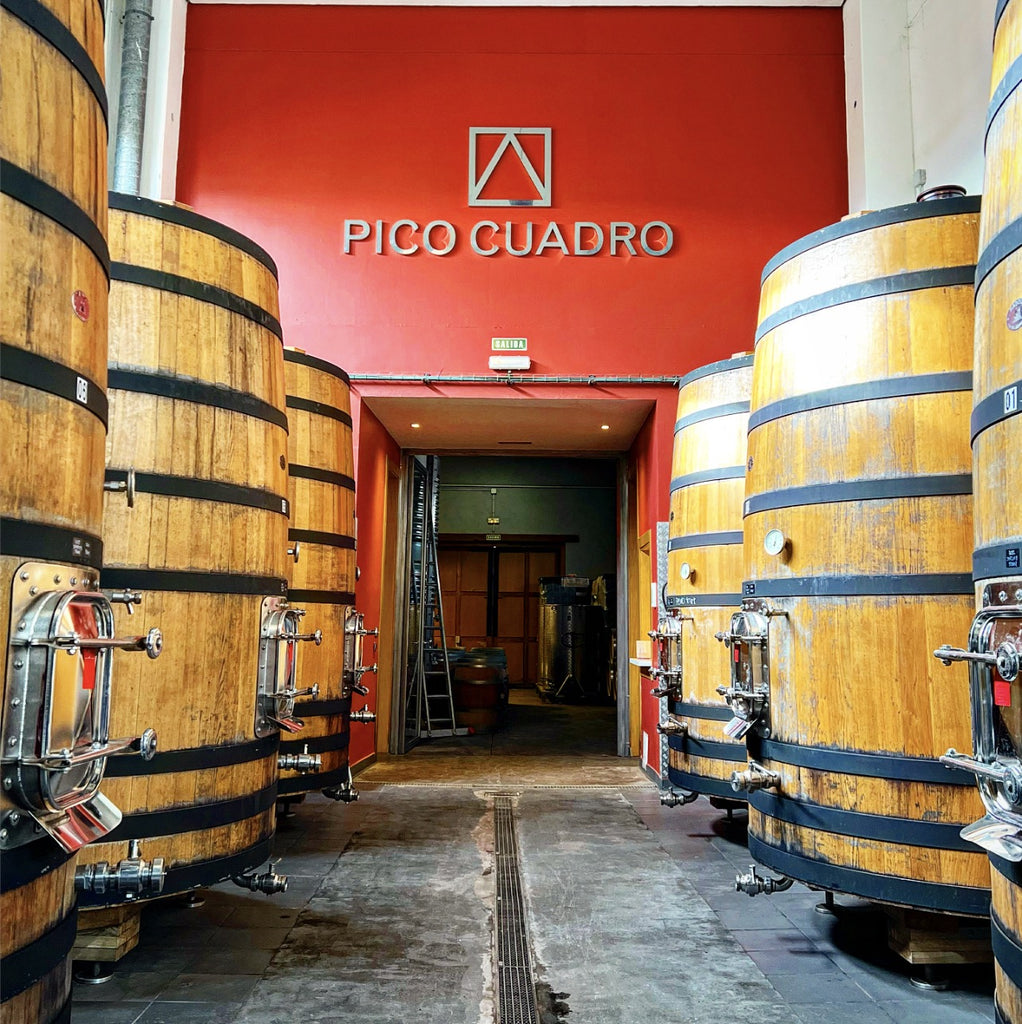 Elegant Old Vine Wines From Small Parcels is the Essence of Pico Cuadro