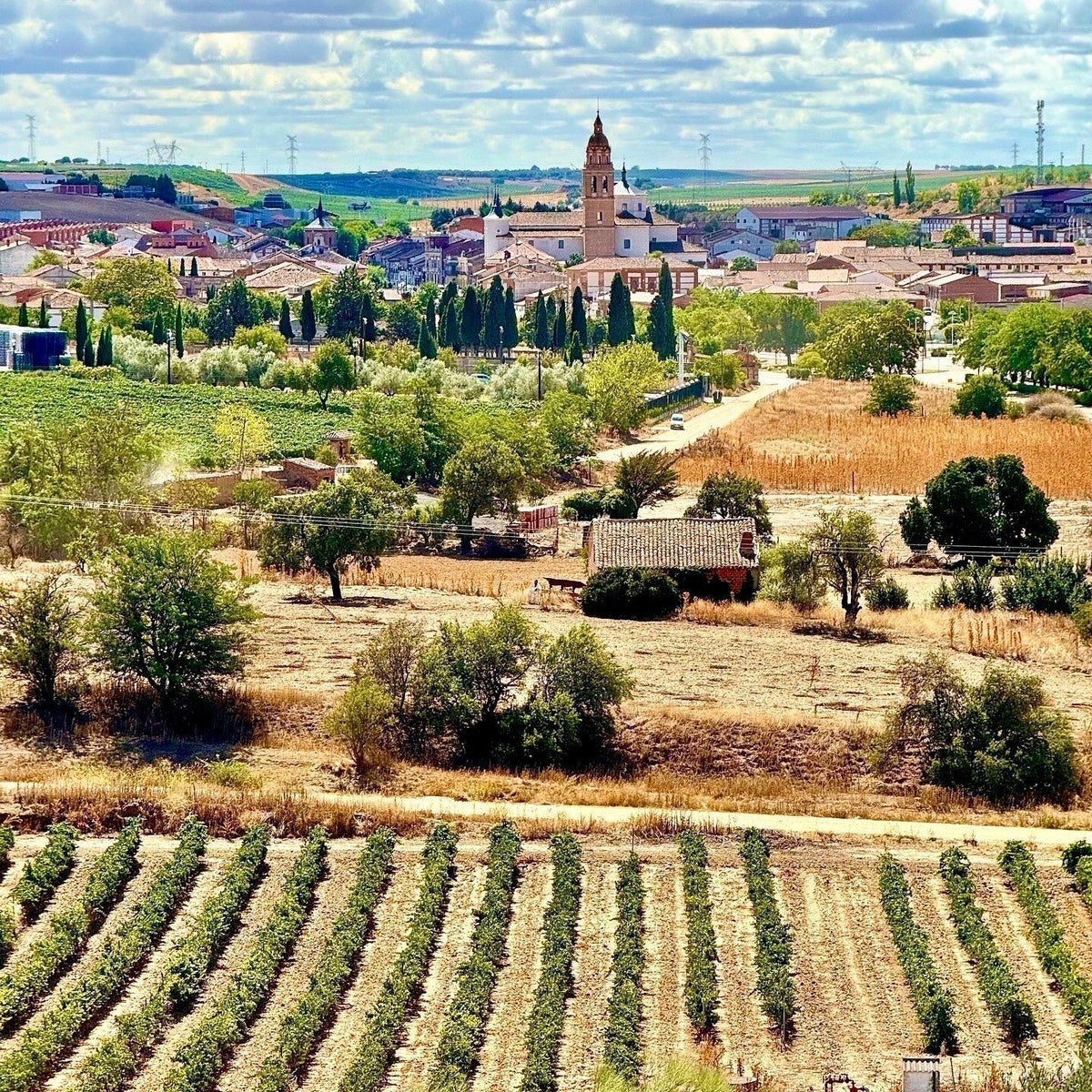 Where Is Rueda A Few Wineries to Visit When Exploring Rueda, Spain – WineDestinations