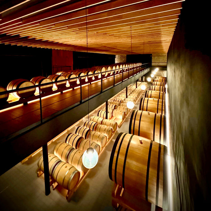 Aiurri, Crafting Biodiverse Small Plot Wines in Rioja Alavesa
